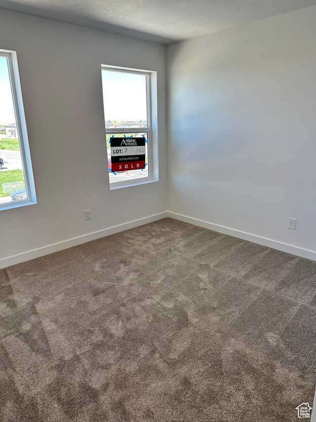 spare room featuring plenty of natural light, carpet flooring, a textured ceiling, and baseboards