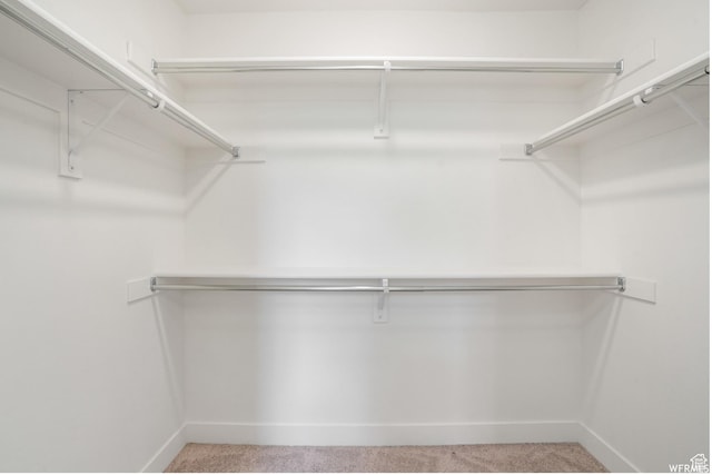 172 S 880 E, American Fork, UT 84003 - walk in closet featuring light carpet