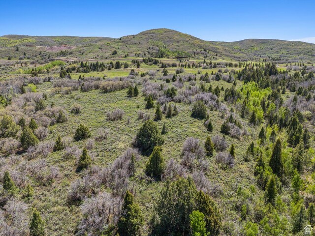 Heber City, UT 84032 - photo 20