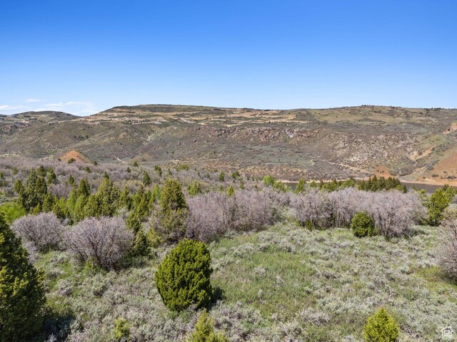 Heber City, UT 84032 - photo 9