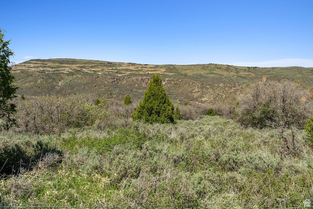 Heber City, UT 84032 - photo 22