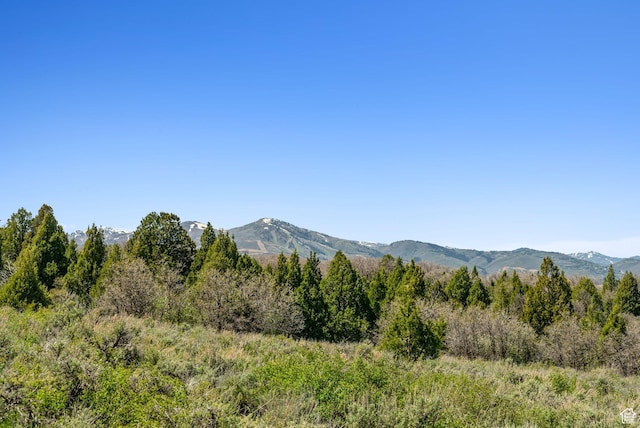Heber City, UT 84032 - photo 29