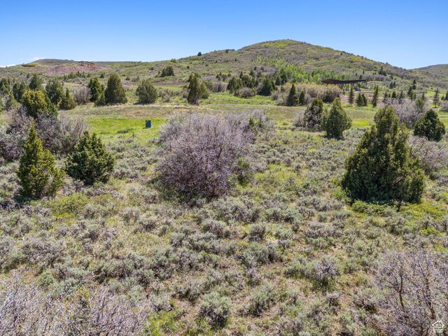 Heber City, UT 84032 - photo 11