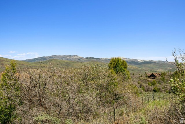 Heber City, UT 84032 - photo 27