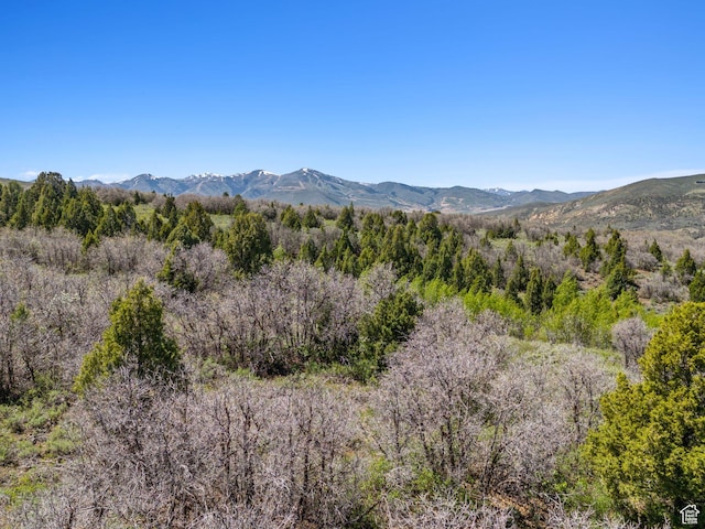 Heber City, UT 84032 - photo 4