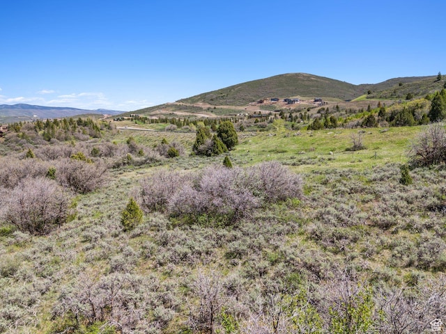 Heber City, UT 84032 - photo 10