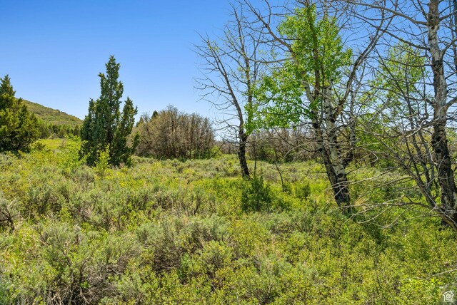 Heber City, UT 84032 - photo 5