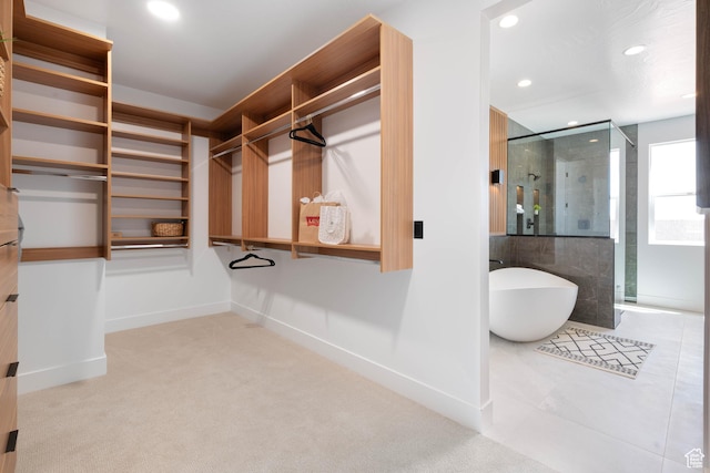 1575 W 840 S, Hurricane, UT 84737 - spacious closet with carpet floors