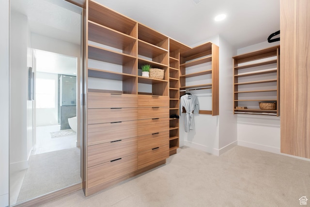 1575 W 840 S, Hurricane, UT 84737 - walk in closet featuring light carpet