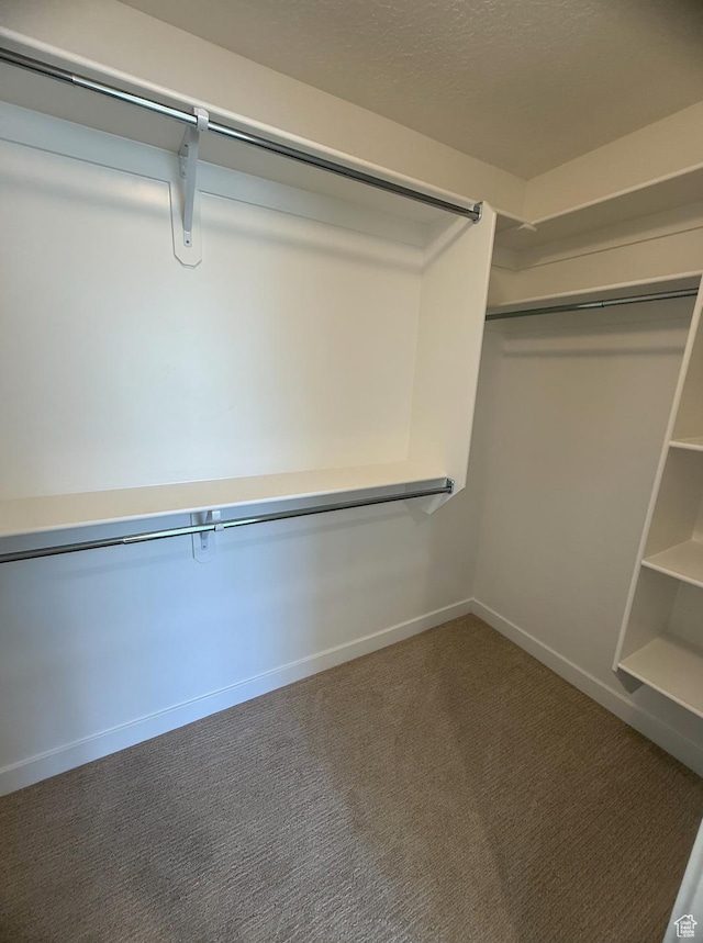 384 E 1480 N Unit 56, Salem, UT 84653 - walk in closet featuring carpet