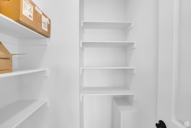 251 W 825 S Unit 306, Willard, UT 84340 - view of spacious closet