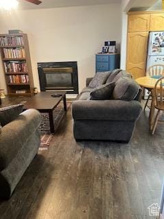 living area with wood finished floors, ceiling fan, and a fireplace