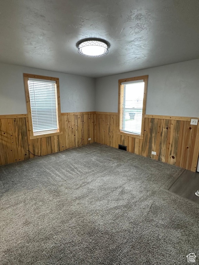 733 Clay St, Montpelier, ID 83254 - empty room with wainscoting, wood walls, carpet, and a textured ceiling