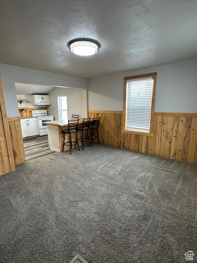 733 Clay St, Montpelier, ID 83254 - carpeted dining area featuring wainscoting and wood walls