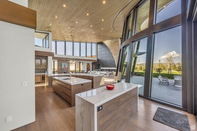 800 Hollyhock St, Park City, UT 84098 - kitchen featuring a large island, modern cabinets, a high ceiling, wood-type flooring, and wood ceiling