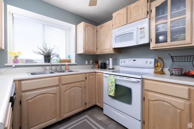 kitchen with white appliances, a sink, light brown cabinetry, and light countertops