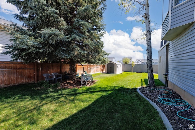 view of yard with a storage shed and an outdoor structure