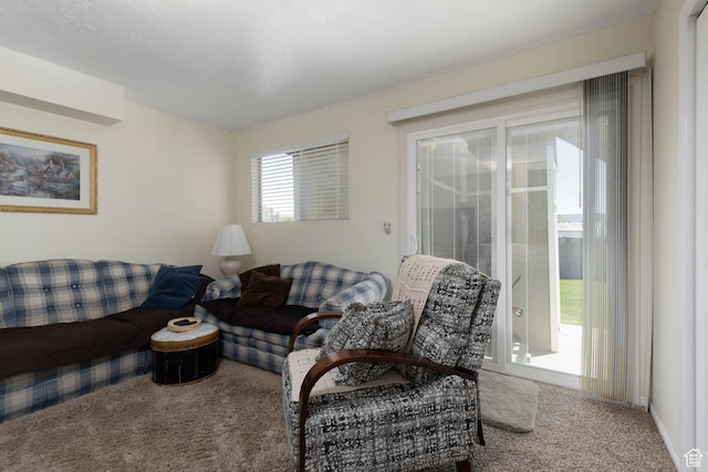 living area with carpet