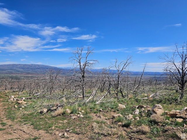 Unit 296, Fruitland, UT 84027