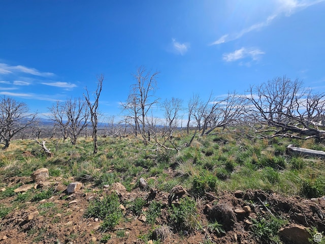 Unit 296, Fruitland, UT 84027