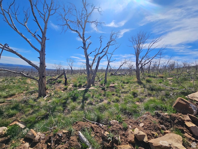 Unit 296, Fruitland, UT 84027