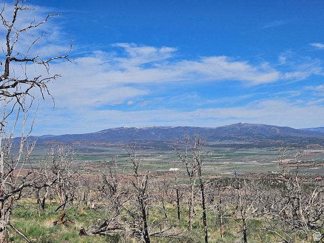 Unit 296, Fruitland, UT 84027