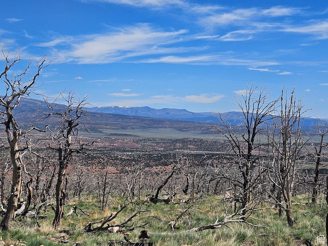 Unit 296, Fruitland, UT 84027