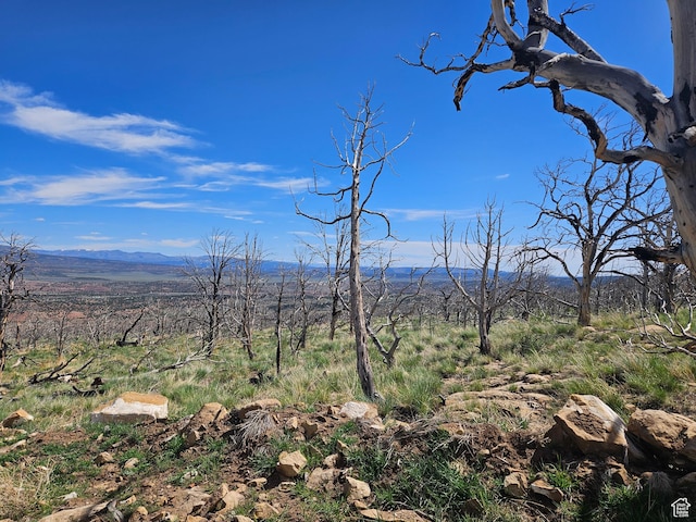Unit 296, Fruitland, UT 84027