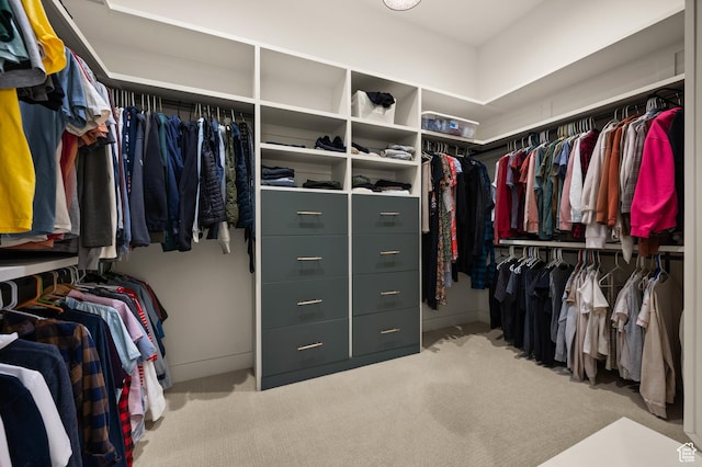 10076 S Wild Goose Cv E, Sandy, UT 84092 - walk in closet featuring carpet flooring