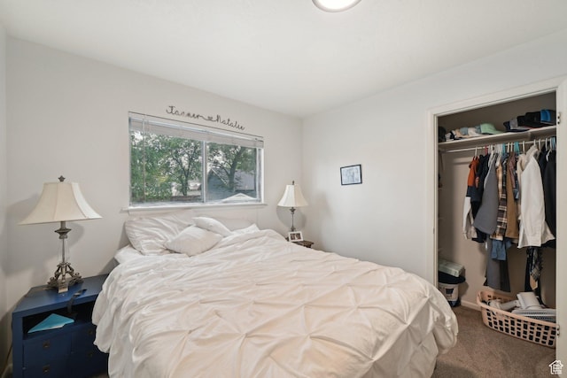 230 S 600 E, Provo, UT 84606 - bedroom featuring a closet and carpet