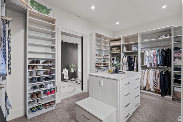 spacious closet with carpet