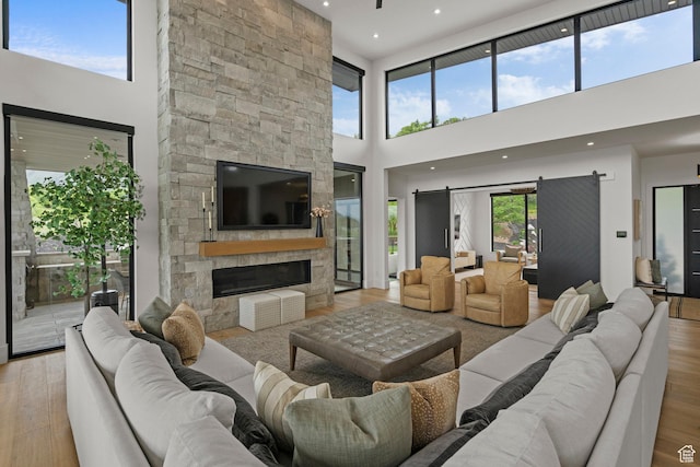 living room with wood finished floors, a towering ceiling, and a fireplace