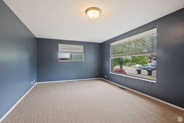 unfurnished room featuring carpet flooring, healthy amount of natural light, a textured ceiling, and baseboards