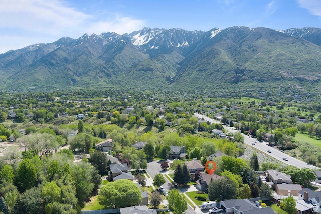 bird's eye view of a mountainous background
