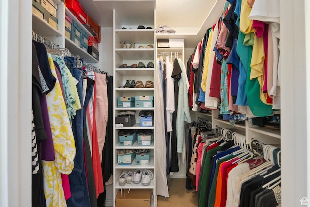 view of walk in closet
