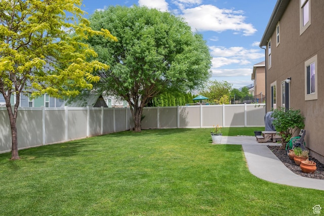 1066 W 1325 S, Springville, UT 84663 - view of yard