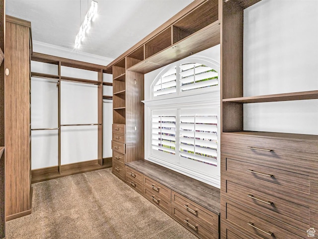 10868 S Prescott Dr E, Sandy, UT 84092 - spacious closet featuring carpet floors