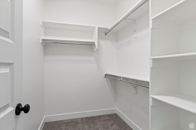 walk in closet featuring dark colored carpet