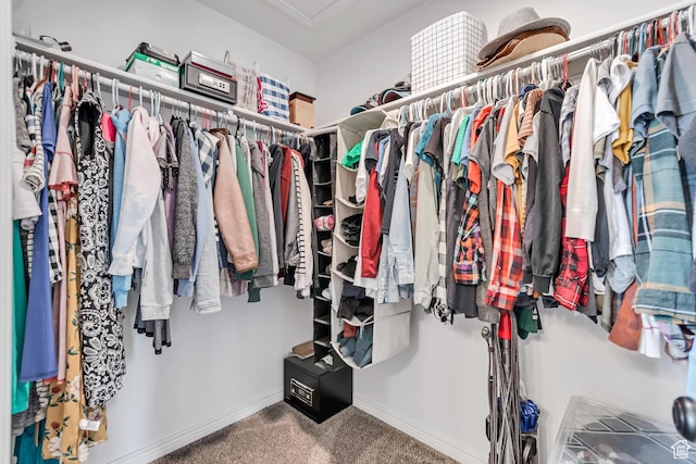 spacious closet with carpet