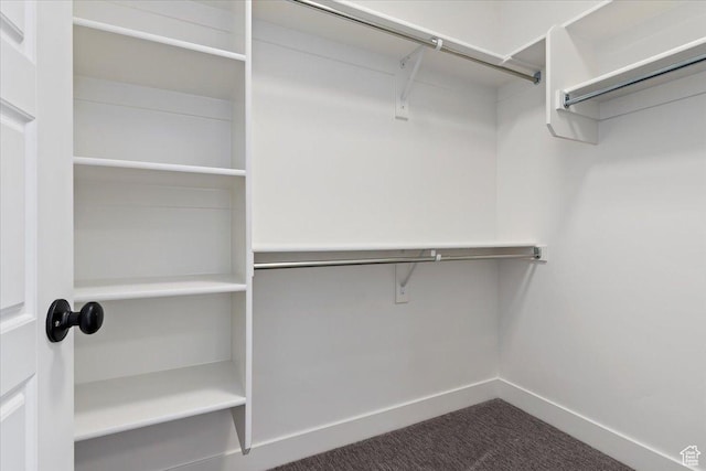 spacious closet with dark carpet