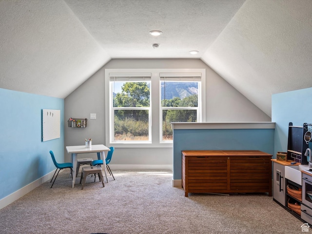 4591 N Abbey Way, Eden, UT 84310 - office space with lofted ceiling, carpet flooring, a textured ceiling, and baseboards