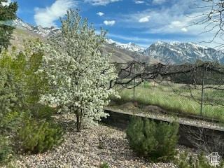 3270 E Danish Hills Cir, Salt Lake City, UT 84121 - view of mountain background