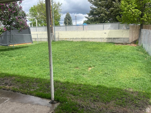 view of yard
