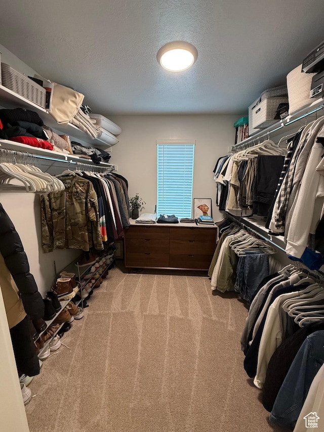 81 W 925 N, Brigham City, UT 84302 - walk in closet featuring light carpet