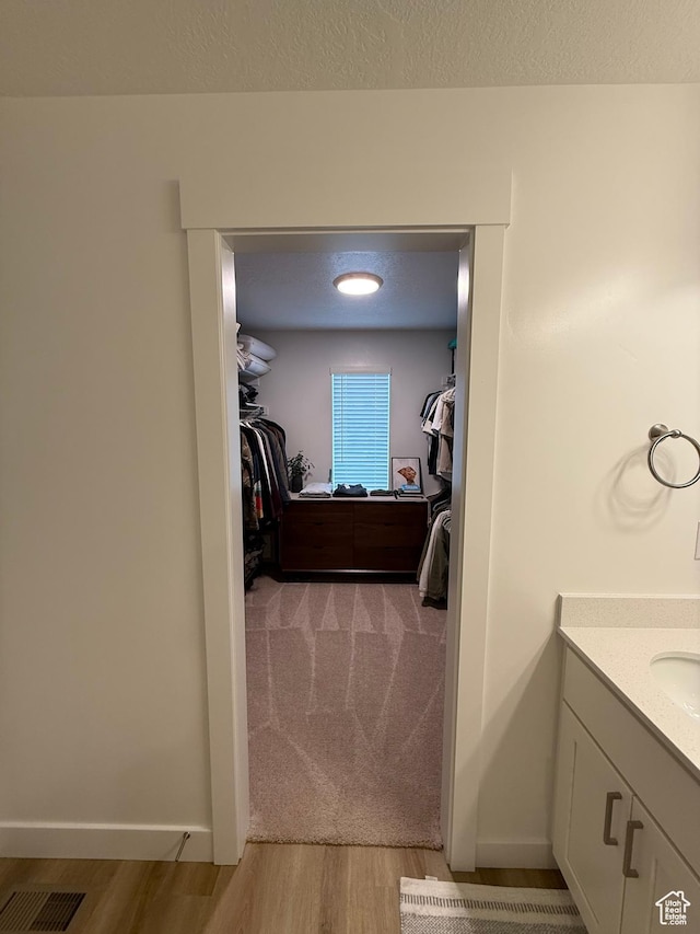 81 W 925 N, Brigham City, UT 84302 - spacious closet with light wood-type flooring, a sink, and light colored carpet