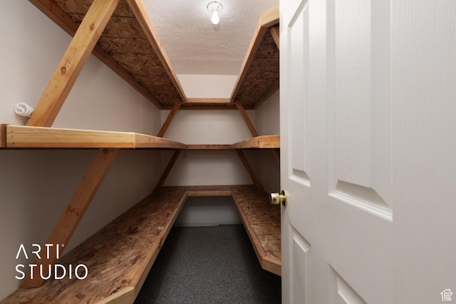 2956 W Mackay Meadows Pl, West Valley City, UT 84119 - view of storage
