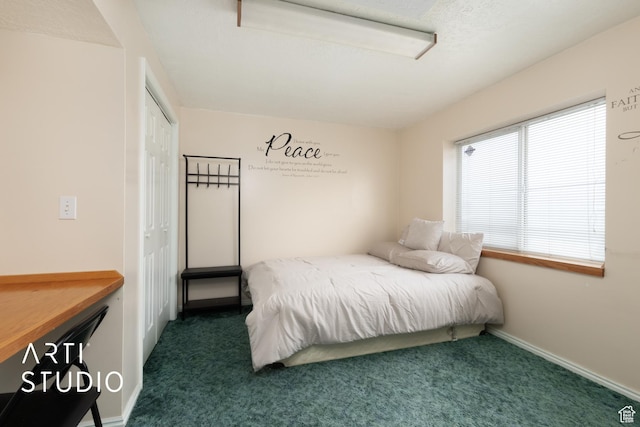 2956 W Mackay Meadows Pl, West Valley City, UT 84119 - carpeted bedroom featuring a closet