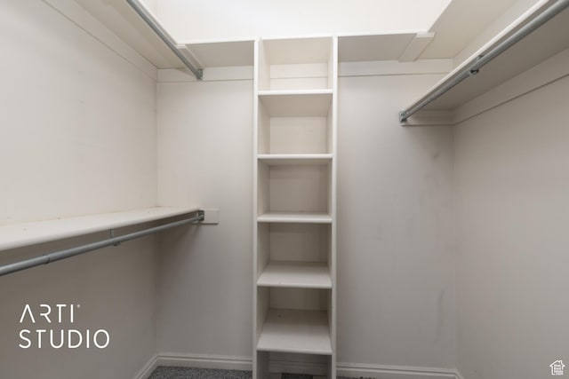 2956 W Mackay Meadows Pl, West Valley City, UT 84119 - view of spacious closet