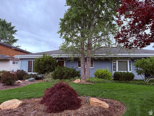 single story home featuring a front lawn