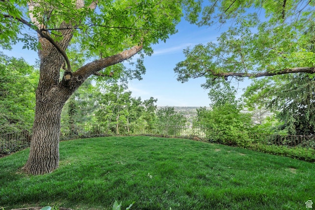 3223 Apache Ln, Provo, UT 84604 - view of yard